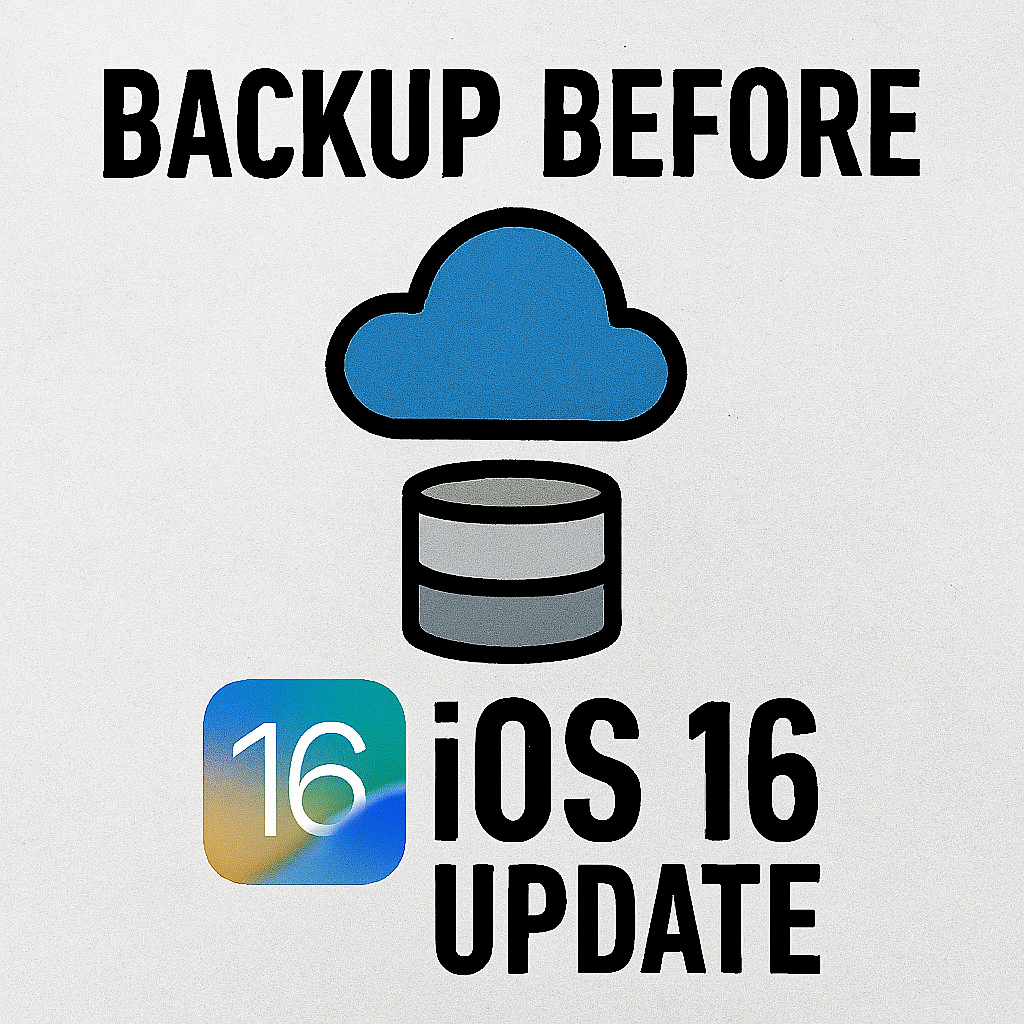 Backup prima dell'aggiornamento